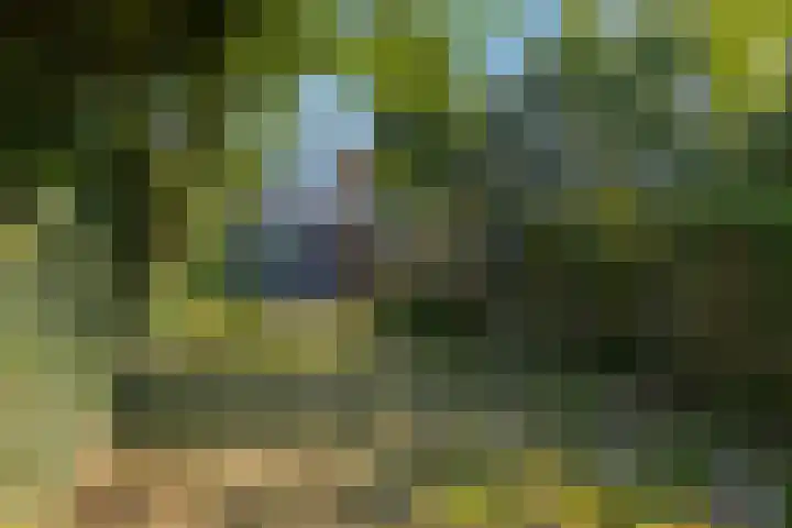Achter de Hoven 178 Leeuwarden thumbnail 22