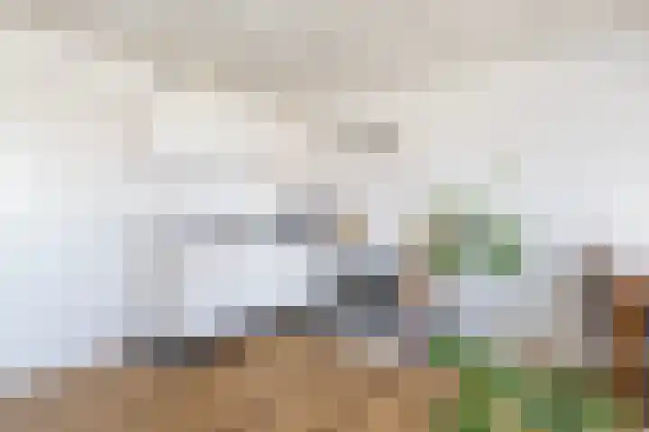 Achter de Hoven 178 Leeuwarden thumbnail 29