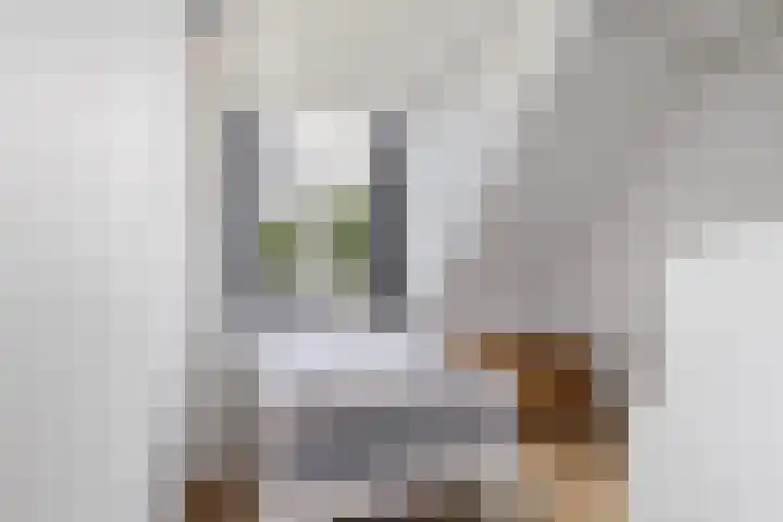 Achter de Hoven 178 Leeuwarden thumbnail 30