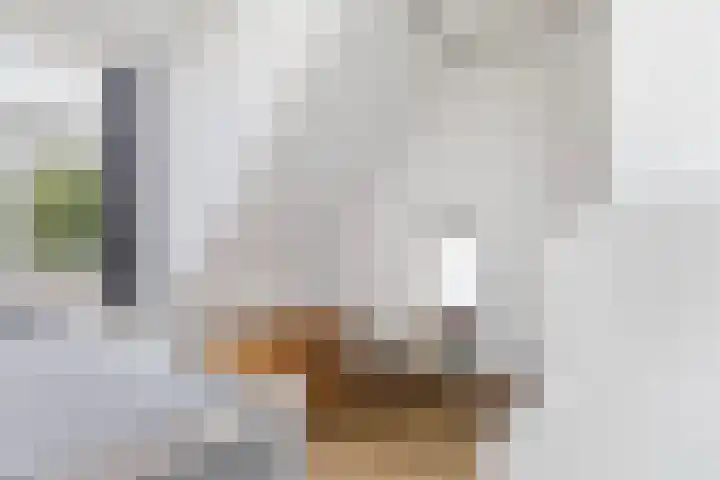 Achter de Hoven 178 Leeuwarden thumbnail 31