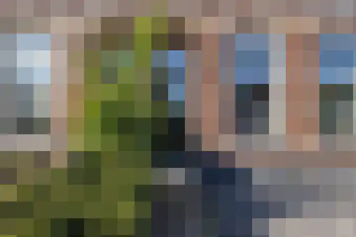 Achter de Hoven 178 Leeuwarden thumbnail 35