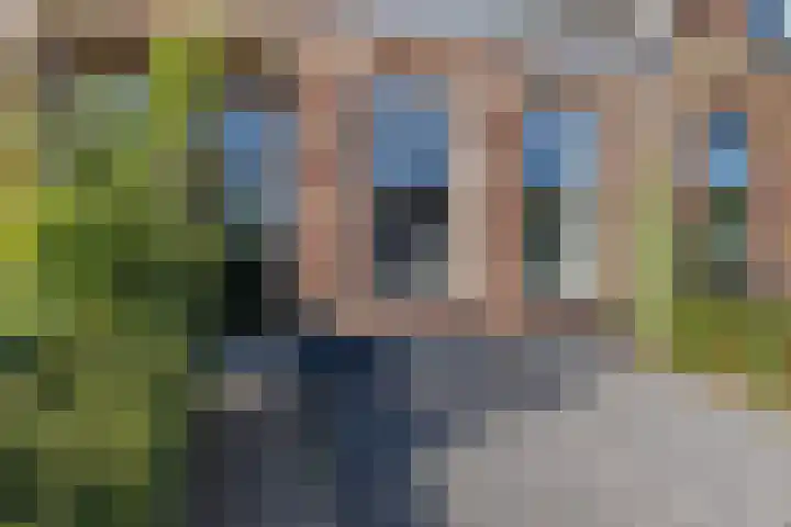 Achter de Hoven 178 Leeuwarden thumbnail 4