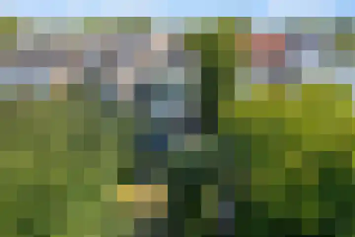 Achter de Hoven 178 Leeuwarden thumbnail 41