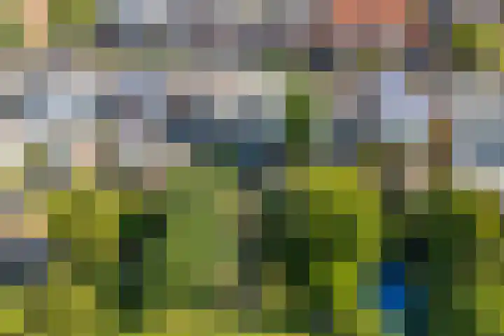 Achter de Hoven 178 Leeuwarden thumbnail 42