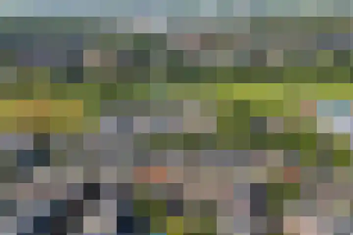 Achter de Hoven 178 Leeuwarden thumbnail 43