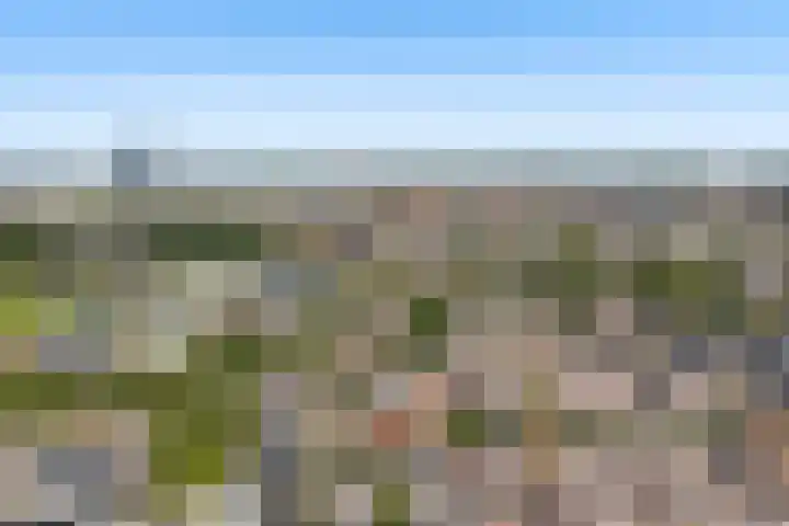 Achter de Hoven 178 Leeuwarden thumbnail 44