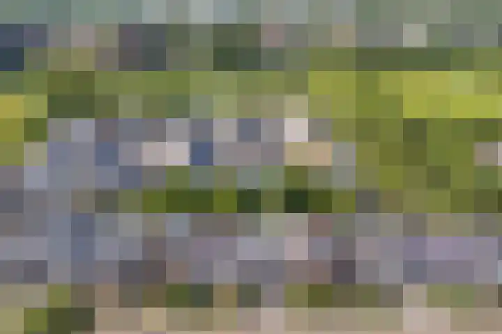 Achter de Hoven 178 Leeuwarden thumbnail 45