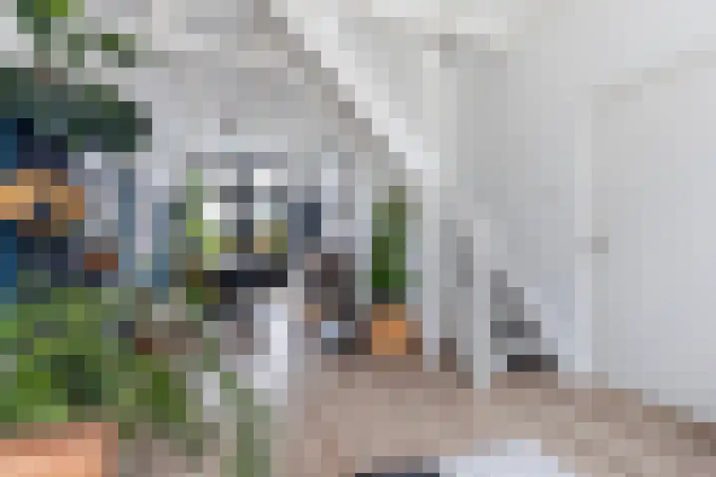 Achter de Hoven 190 Leeuwarden thumbnail 15