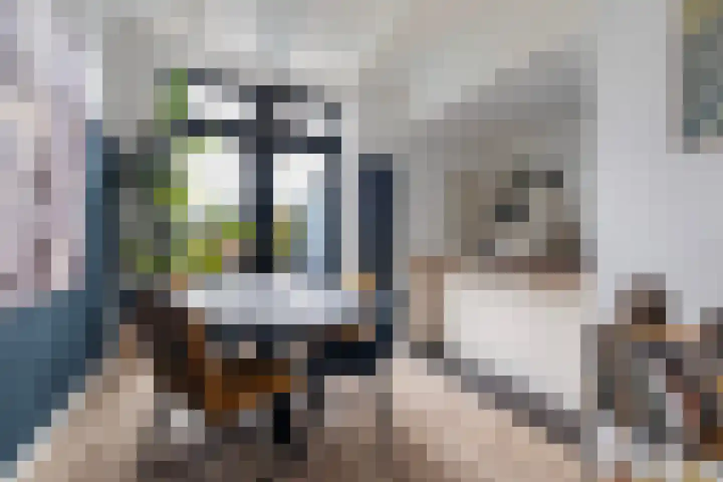 Achter de Hoven 190 Leeuwarden thumbnail 18
