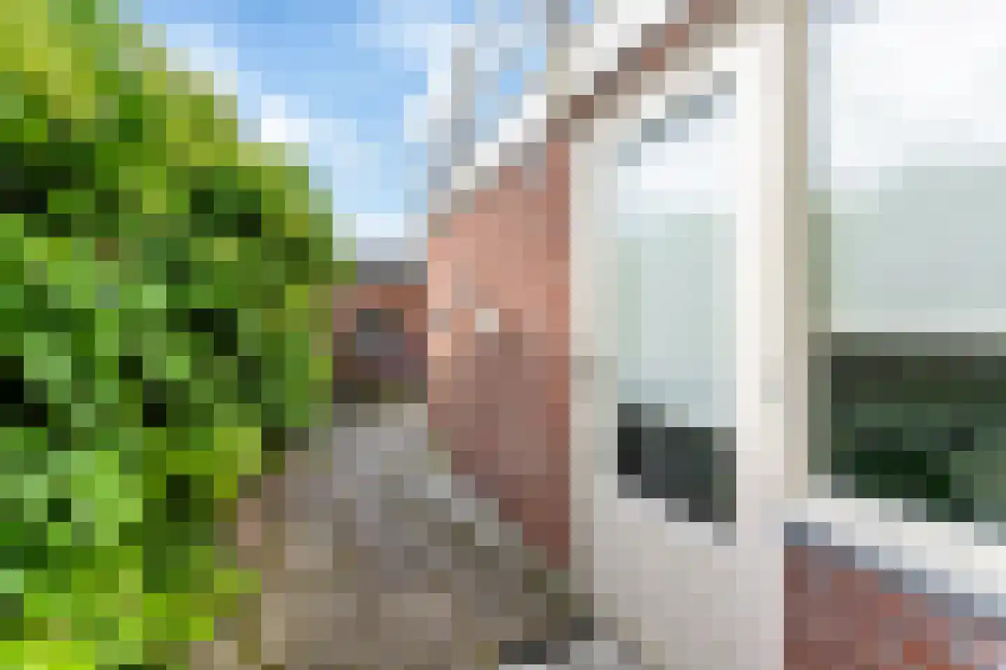 Achter de Hoven 204 Leeuwarden thumbnail 15