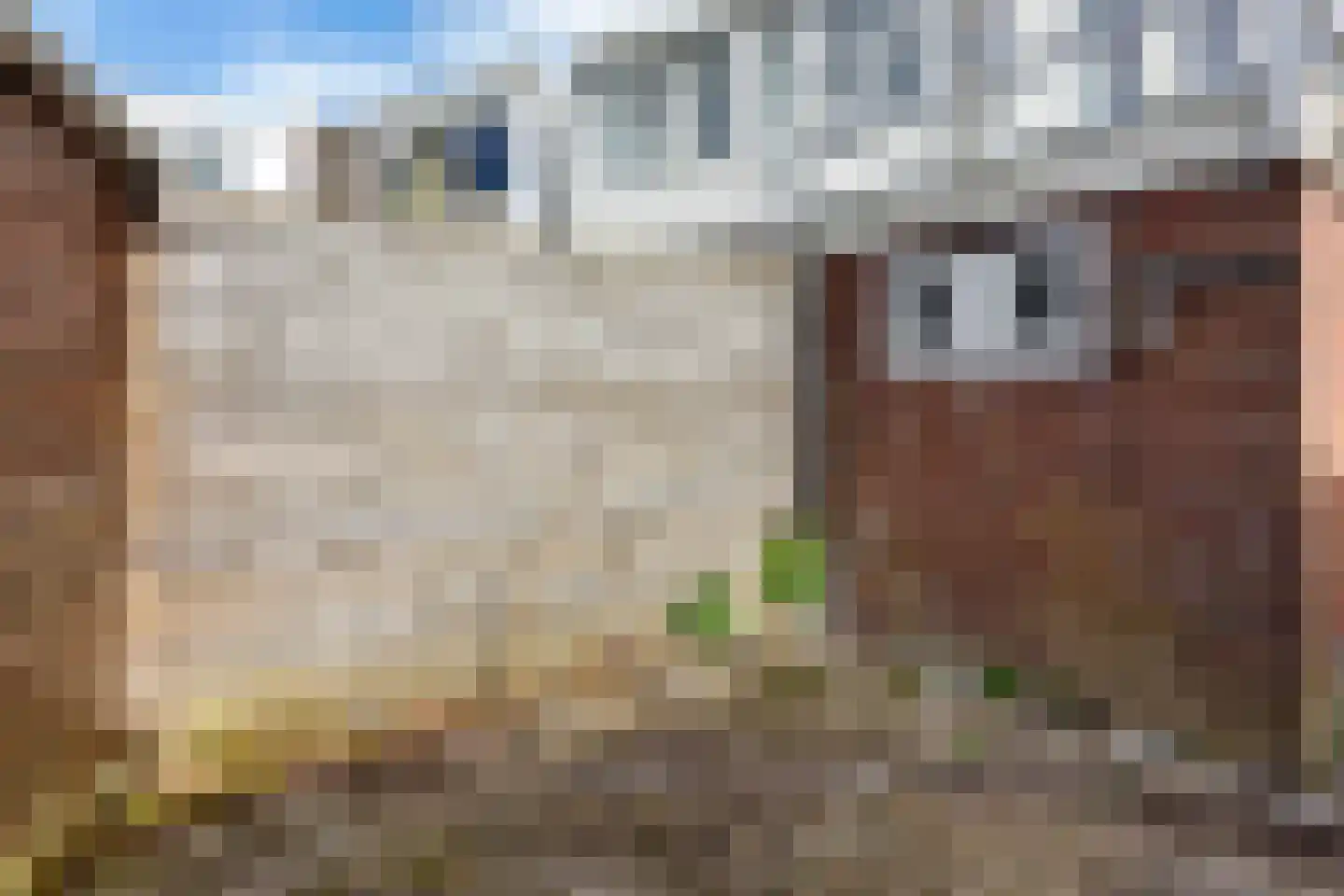 Achter de Hoven 204 Leeuwarden thumbnail 18