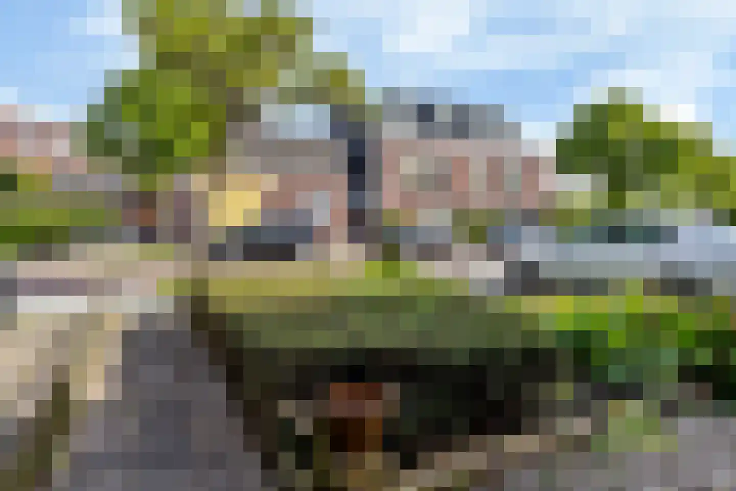 Achter de Hoven 204 Leeuwarden thumbnail 38