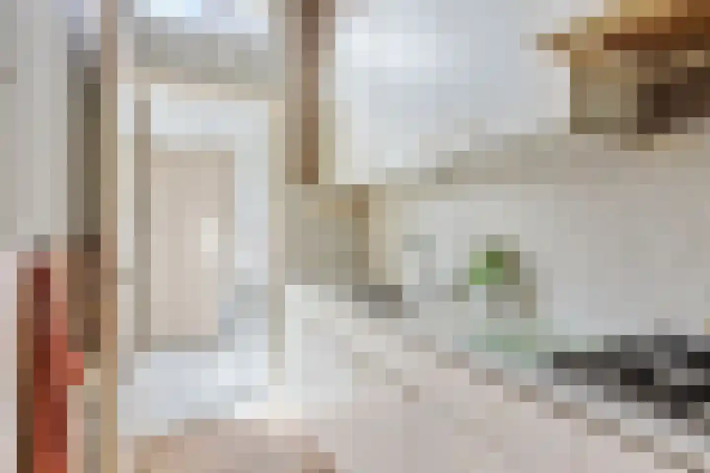 Achter de Hoven 204 Leeuwarden thumbnail 9