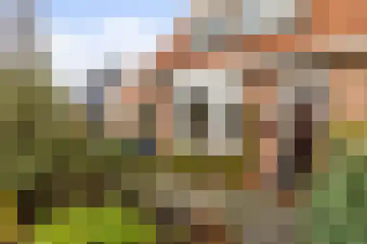 Achter de Hoven 217 Leeuwarden thumbnail 10
