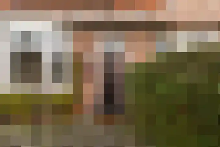 Achter de Hoven 217 Leeuwarden thumbnail 11