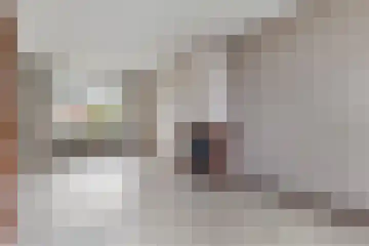 Achter de Hoven 217 Leeuwarden thumbnail 14