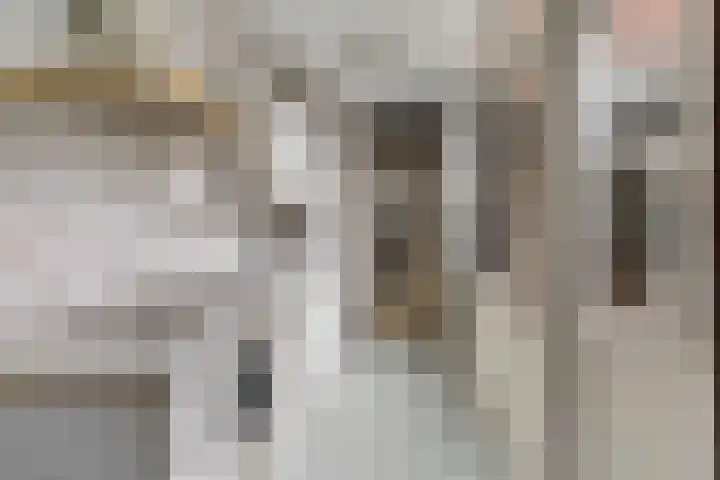 Achter de Hoven 217 Leeuwarden thumbnail 18