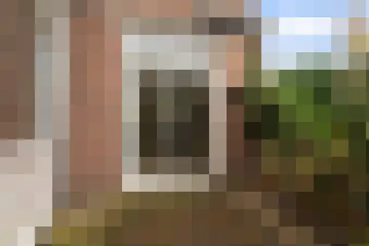 Achter de Hoven 217 Leeuwarden thumbnail 19