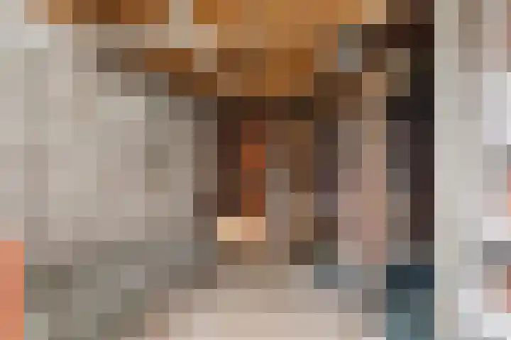 Achter de Hoven 217 Leeuwarden thumbnail 21