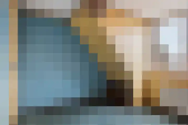 Achter de Hoven 217 Leeuwarden thumbnail 27
