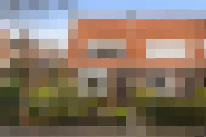 Achter de Hoven 217 Leeuwarden thumbnail 32