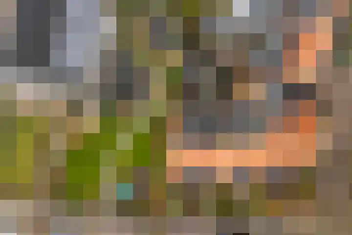 Achter de Hoven 217 Leeuwarden thumbnail 35