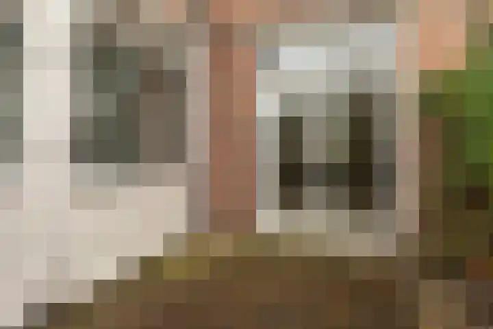 Achter de Hoven 217 Leeuwarden thumbnail 5