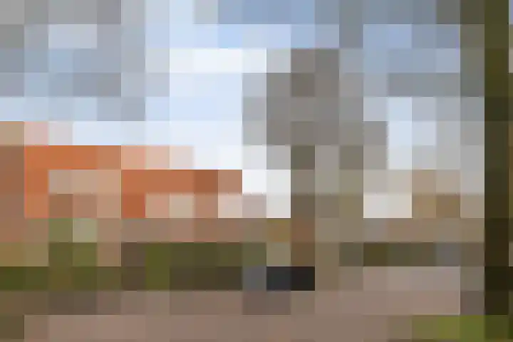 Achter de Hoven 217 Leeuwarden thumbnail 6