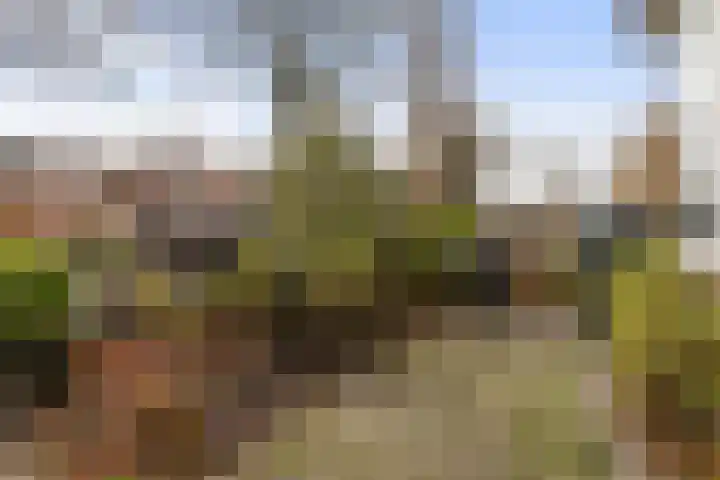 Achter de Hoven 217 Leeuwarden thumbnail 8