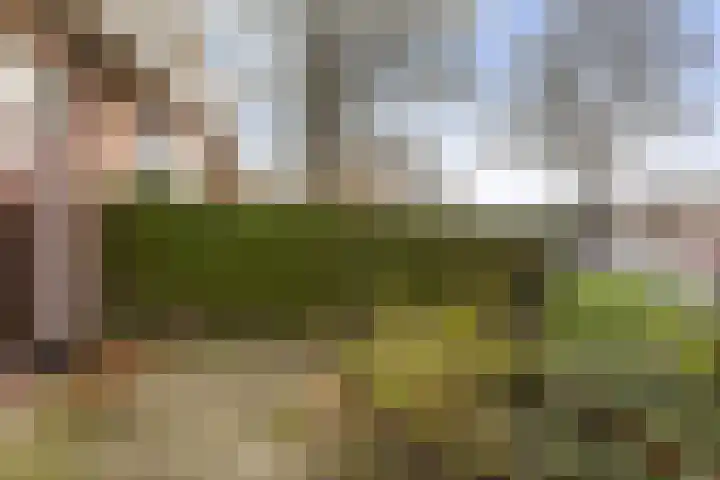 Achter de Hoven 217 Leeuwarden thumbnail 9