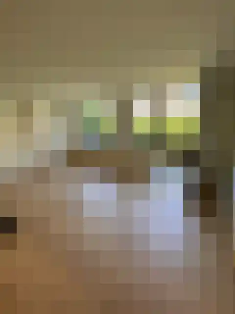 Achter de Hoven 223 Leeuwarden thumbnail 4