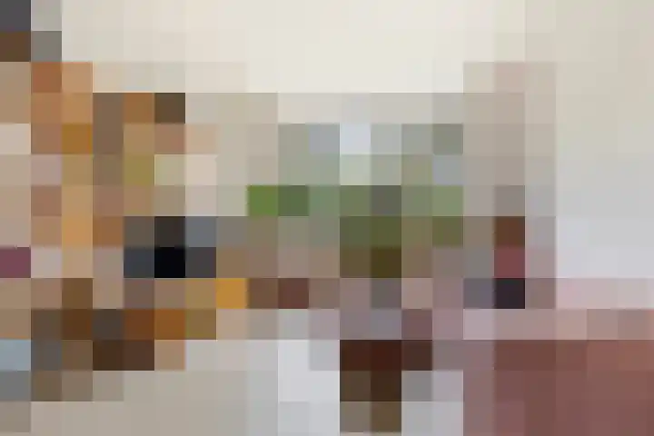 Achter de Hoven 233 Leeuwarden thumbnail 10