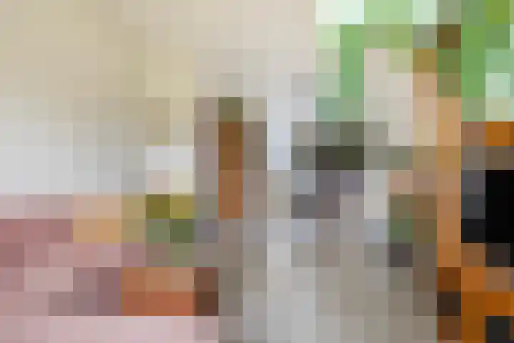 Achter de Hoven 233 Leeuwarden thumbnail 12