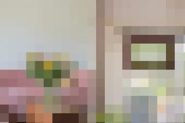 Achter de Hoven 233 Leeuwarden thumbnail 13