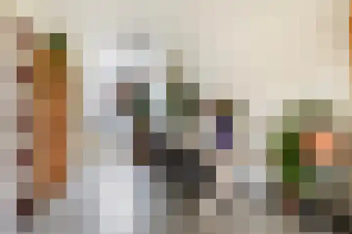 Achter de Hoven 233 Leeuwarden thumbnail 14