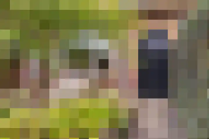 Achter de Hoven 233 Leeuwarden thumbnail 20