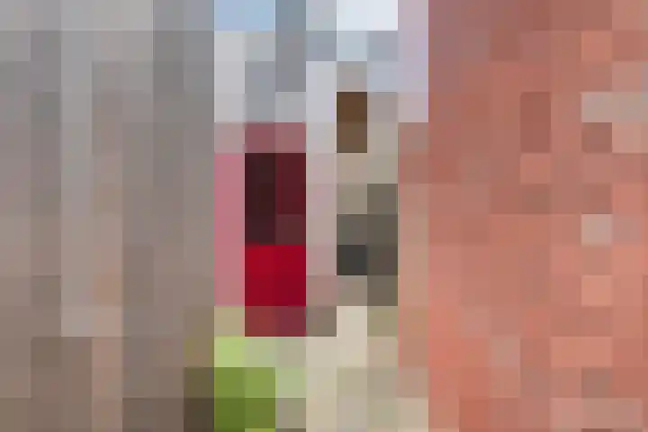 Achter de Hoven 233 Leeuwarden thumbnail 23
