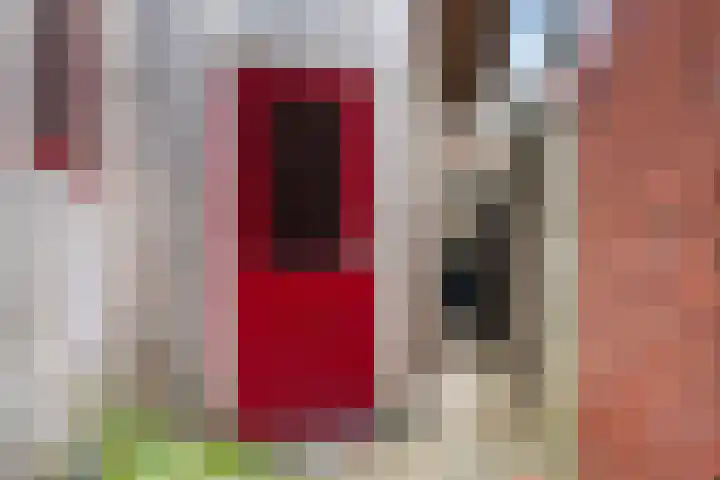 Achter de Hoven 233 Leeuwarden thumbnail 24