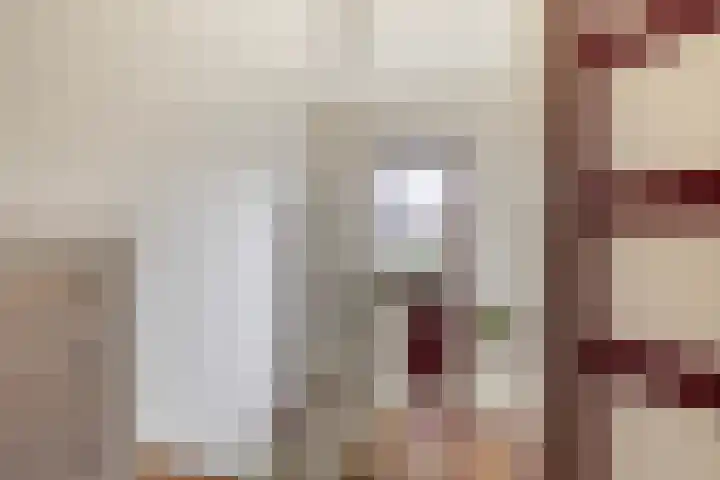 Achter de Hoven 233 Leeuwarden thumbnail 27