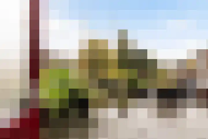 Achter de Hoven 233 Leeuwarden thumbnail 28