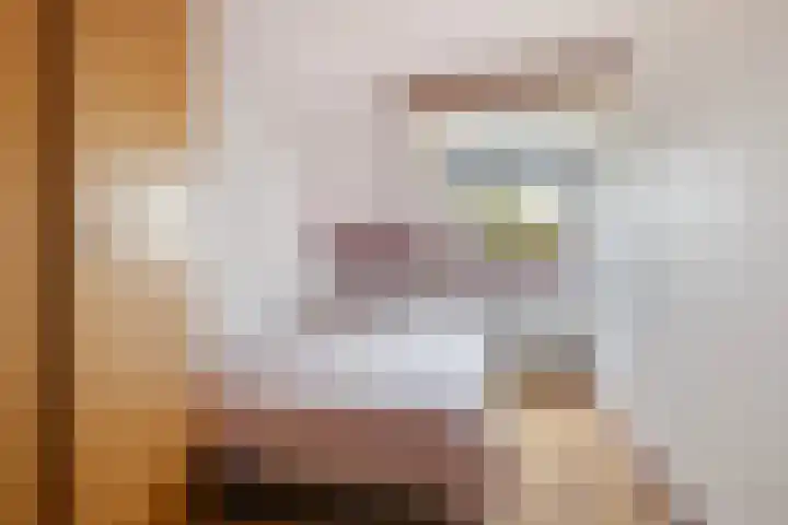 Achter de Hoven 233 Leeuwarden thumbnail 30