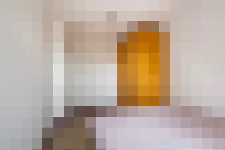 Achter de Hoven 233 Leeuwarden thumbnail 31