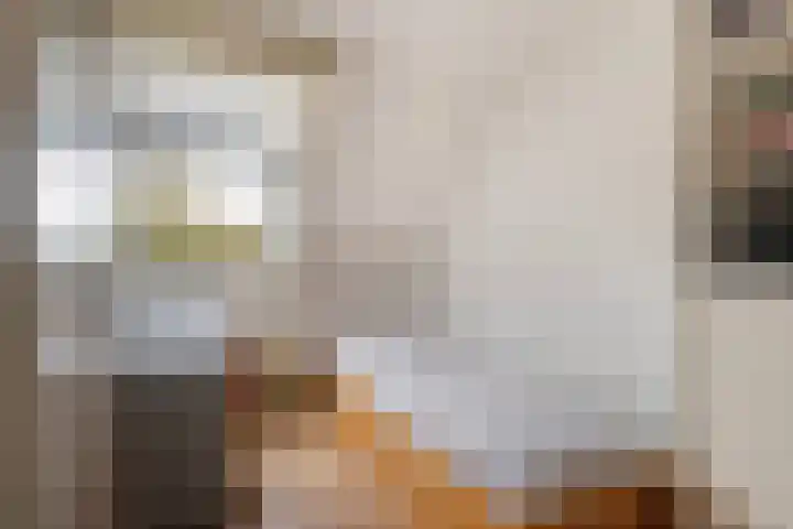 Achter de Hoven 233 Leeuwarden thumbnail 32