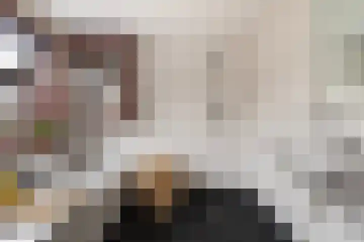 Achter de Hoven 233 Leeuwarden thumbnail 34