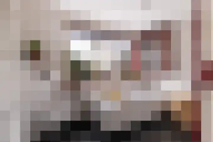 Achter de Hoven 233 Leeuwarden thumbnail 36