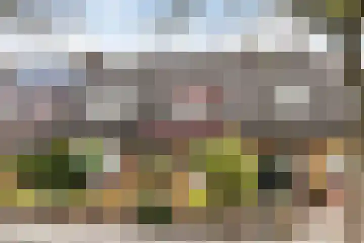 Achter de Hoven 233 Leeuwarden thumbnail 39