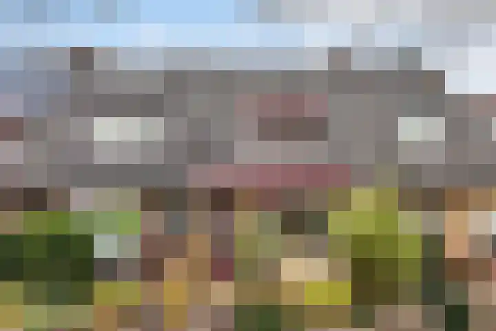 Achter de Hoven 233 Leeuwarden thumbnail 40