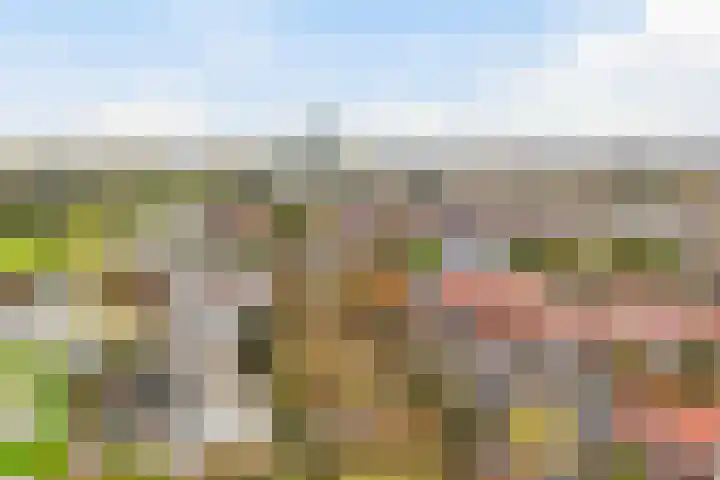 Achter de Hoven 233 Leeuwarden thumbnail 41
