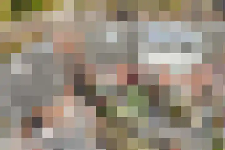 Achter de Hoven 233 Leeuwarden thumbnail 42