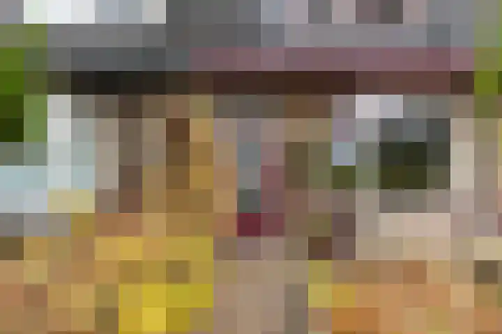 Achter de Hoven 233 Leeuwarden thumbnail 5